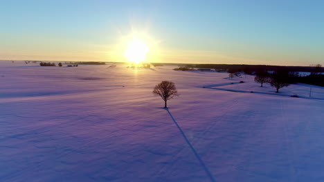 Sunrise-over-a-snowy-winter-wonderland---sun-casting-a-long-shadow-from-a-lone-tree---aerial-scenic-view