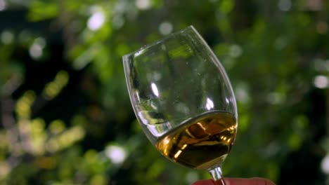Withe-wine-in-a-cristal-glass-with-a-green-garden-on-the-background-3