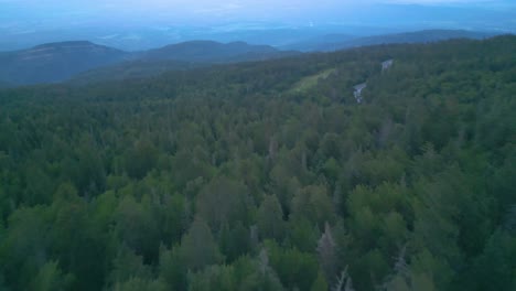 Aerial-View-of-Evergreen-Forest-in-Sandia-Mountains-Range-Near-Albuquerque,-New-Mexico-USA-on-Cloudy-Day,-Drone-Shot
