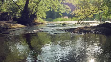 Frischer-Fluss,-Der-Zwischen-Einer-Magischen-Waldlandschaft-Und-Friedlicher-Natur-Fließt