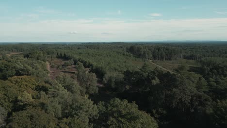 Slow-aerial-shot-pushing-forward-over-forest-at-daytime-with-blue-sky