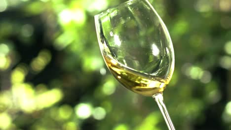 Withe-wine-in-a-cristal-glass-with-a-green-garden-on-the-background-2