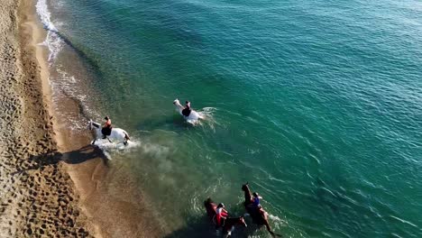 Aerial-drone-top-down-showing-group-of-horses-having-fun-in-blue-water-of-ocean-near-beach-in-summer