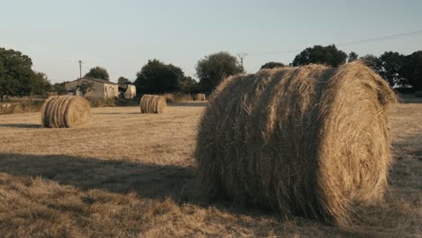 Golden-haystack-wheat-field,-Roll-stacks-Left-on-Field-after-Harvest,-Rural-environment