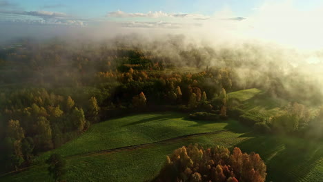 Low-valley-fog-on-a-golden-morning-in-Autumn---flying-over-a-stunning-fall-colors-landscape-of-forest-and-meadows