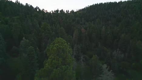 Volando-Sobre-El-Bosque-De-Coníferas-Y-El-Paisaje-De-La-Cordillera-Sandia,-Nuevo-México,-Ee