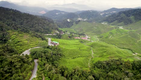 Drohne-Macht-Aus-Großer-Höhe-Eine-Im-Uhrzeigersinn-Rotierende-Aufnahme-Der-Grünteeplantage-In-Der-Stadt-Brinchang-In-Pahang,-Malaysia