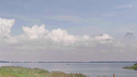 In-this-dutch-countryside-shot-we-view-a-lake-and-a-flock-of-birds-flying-by