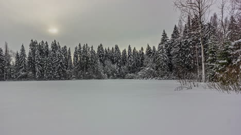 Time-Lapse-of-Snowy-forest-landscape,-Sun-moving-behind-clouds,-Winter-Woodland