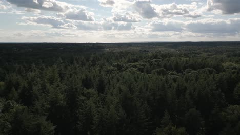 Aerial-shot-pulling-backwards-over-forest-with-sun-and-clouds