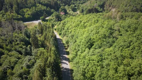 Langsame-Luftaufnahme-Entlang-Einer-Langen-Leeren-Straße,-Die-In-Einem-Wald-In-Deutschland-Eingeschlossen-Ist