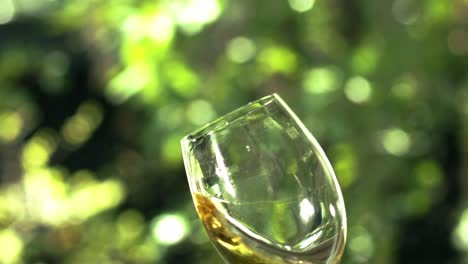 Weißwein-In-Einem-Kristallglas-Mit-Einem-Grünen-Garten-Im-Hintergrund