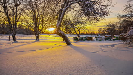 Time-Lapse-of-Winter-landscape,-Vibrant-sunset,-with-tree-shadows-moving-on-Snow-surface,-Nordic-Scene