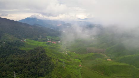 Drone-Captura-La-Hermosa-Y-Verde-Plantación-De-Té-De-Brinchang-En-Pahang,-Malasia-Desde-Una-Gran-Altura