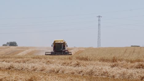Combine-Harvesting-wheat-field-in-Spain-5