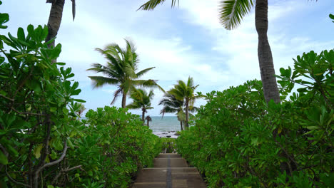 Walk-way-with-coconut-palm-tree-and-sea-background
