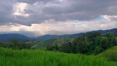 Timelapse-of-green-rice-field-during-rainy-season-with-beautiful-sky