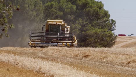 Combine-Harvesting-wheat-field-in-Spain-4