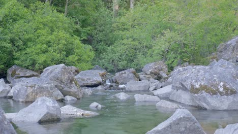 Naturszene-Mit-Plätscherndem-Bach,-Felsiger-Fluss-Im-Wald,-Sommertag