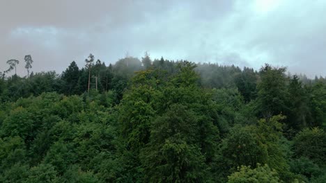 Vuelo-Sobre-Un-Bosque-Europeo-En-La-Niebla-De-Otoño