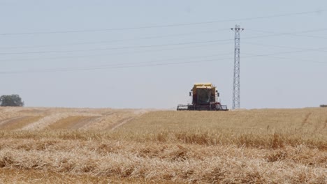 Combine-Harvesting-wheat-field-in-Spain-3