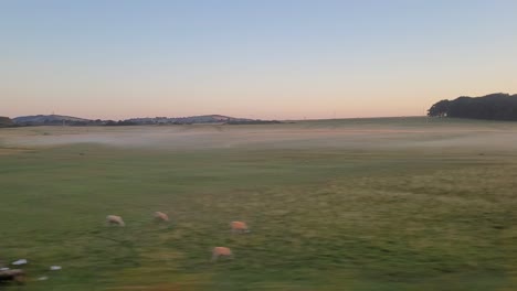 Traveling-By-Irish-Rail-Train-Through-Beautiful-Rural-Grassfield-During-Daytime-In-Ireland