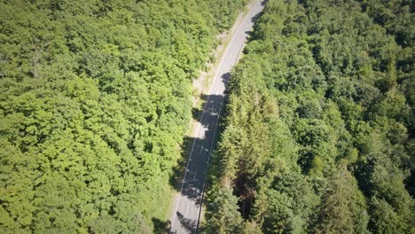 Aerial-Tracking-Shot-Of-An-Empty-Road-Enclosed-By-Two-Lines-Of-A-Forest