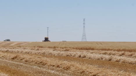 Combine-Harvesting-wheat-field-in-Spain-1