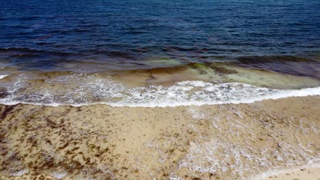 Costa-Oceánica-Marrón-Con-Sargazo-Flotando-En-El-Agua-Mientras-Las-Olas-Chocan-En-La-Playa,-Antena