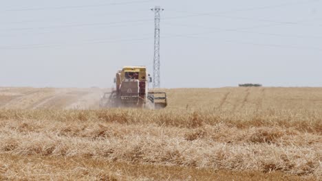 Combine-Harvesting-wheat-field-in-Spain-2