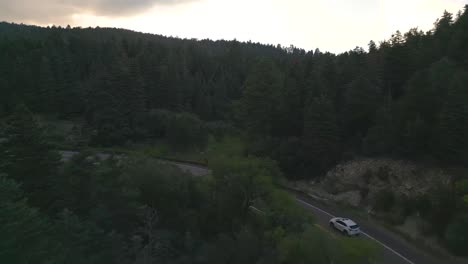 Aerial-View,-White-Car-Moving-on-American-Countryside-Road-in-Coniferous-Forest-at-Twilight,-Drone-Shot