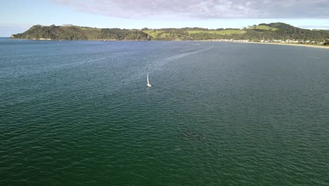 Drohnenflug-Mit-Delphinschoten-Bei-Sonnenuntergang-In-Der-Bucht