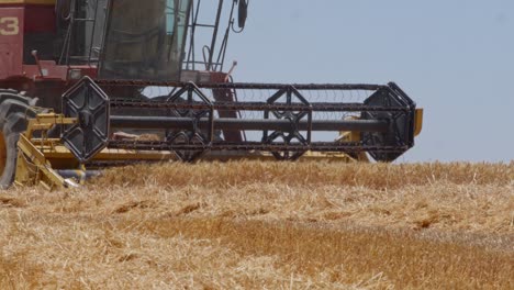 Combine-Harvesting-wheat-field-in-Spain