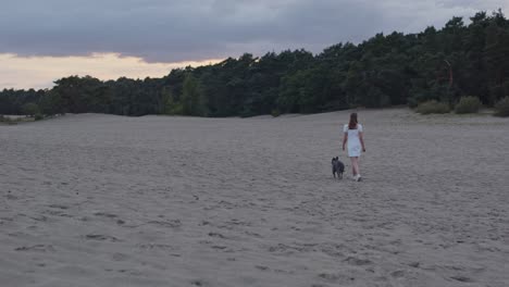 Wide-shot-of-Young-woman-with-a-American-Staffordshire-Terrier-walking-away-from-camera-through-beautiful-sand-dunes-at-sundown