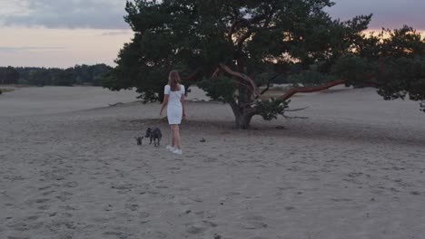 Young-woman-with-a-American-Staffordshire-Terrier-walking-away-from-camera-past-tree-in-beautiful-sand-dunes-at-dusk