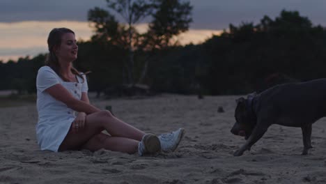 American-Staffordshire-Terrier-bringing-ball-to-attractive-woman-sitting-in-sand-dunes-at-dusk