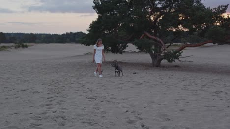 Weite-Sicht-Auf-Junge-Frau-Mit-Einem-Amerikanischen-Staffordshire-Terrier,-Der-In-Der-Abenddämmerung-In-Wunderschönen-Sanddünen-An-Bäumen-Vorbeigeht