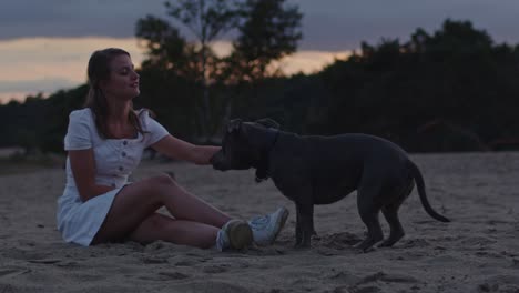 Young-woman-petting-American-Staffordshire-Terrier-in-sand-dunes-at-dusk