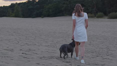 Junge-Frau-Mit-Einem-Amerikanischen-Staffordshire-Terrier,-Der-Bei-Sonnenuntergang-Durch-Wunderschöne-Sanddünen-Von-Der-Kamera-Weggeht
