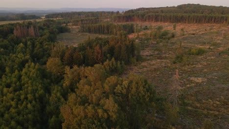 Rotating-Aerial-Shot-Of-The-Surrounding-Forest-Where-The-Forest-Fire-Took-Place-The-Previous-Night-In-Hesse,-Germany