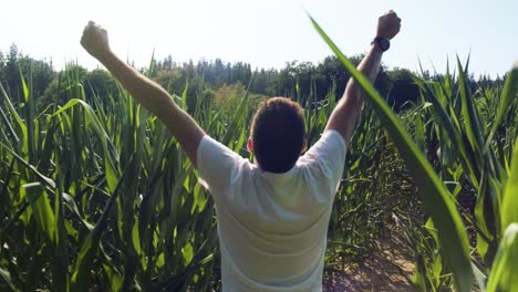Happy-Caucasian-man-raises-hands-up-in-Corn-field,-Joyful-male-with-white-shirt-outdoors,-Slow-motion