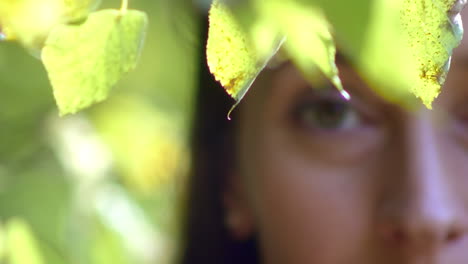 Young-woman-hidden-in-the-leaves-of-an-autumn-tree-looks-directly-into-the-lens