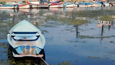 Rowing-boats-in-calm-green-algae-waters-of-sozopol-marina