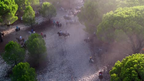Horsemen-chasing-bulls-through-the-forest,-aerial-view-2