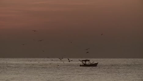 Small-Fishing-Boat-at-Sea-with-Seagulls-Flying,-Sunset-Sky,-Static