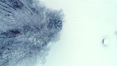 Aerial-flyover-dreamy-white-winter-landscape-with-icy-forest-trees-in-rural-area-during-daytime