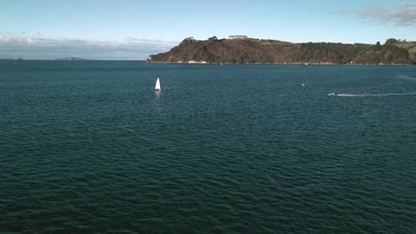 Paseos-En-Moto-Acuática-Por-Cooks-Bay-En-Nueva-Zelanda-Con-Delfines-Jugando