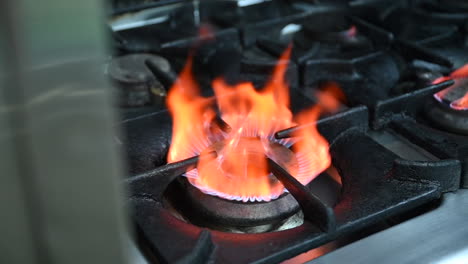 Fuego-En-La-Estufa-De-Gas-En-Una-Cocina-De-Restaurante-Profesional
