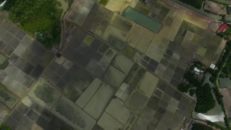 Luftbild-Von-Oben-Nach-Unten,-Das-über-Die-Salzfelder-Von-Can-Gio,-Vietnam,-Fliegt