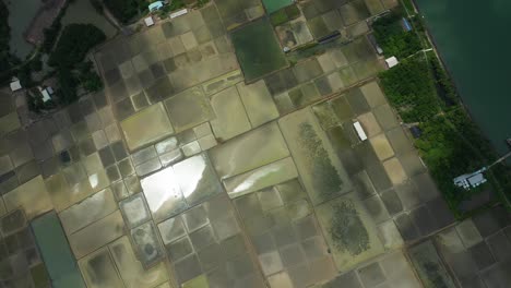 Aerial-top-down-rotation-of-Can-Gio-Salt-fields-Vietnam